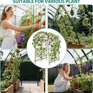 Garden Arch Trellis